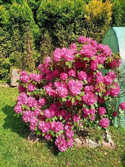 Świeradów-Zdrój Pasja B&B 외부 사진