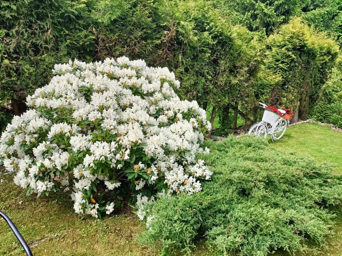 Świeradów-Zdrój Pasja B&B 외부 사진